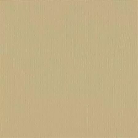 Cardstock - Salamander