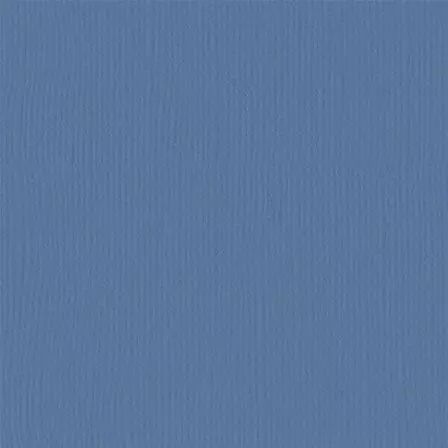 Cardstock - Steel
