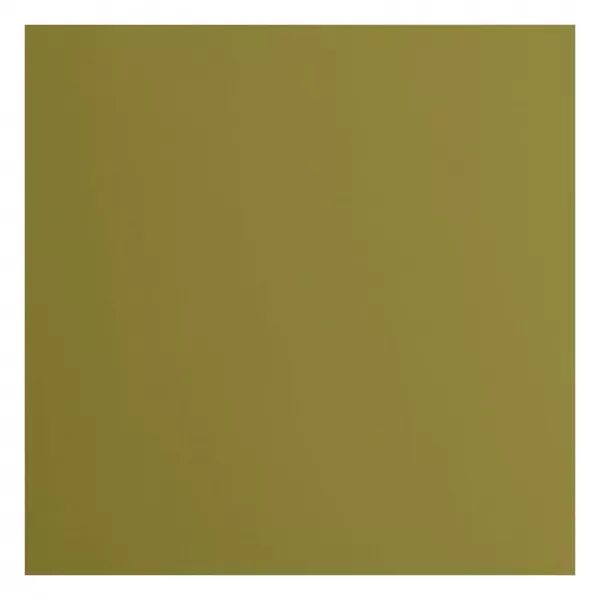Cardstock lisse - Acacia