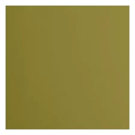 Cardstock lisse - Acacia