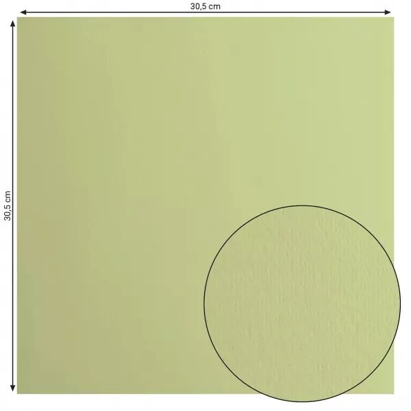 Cardstock lisse - Anise - Florence