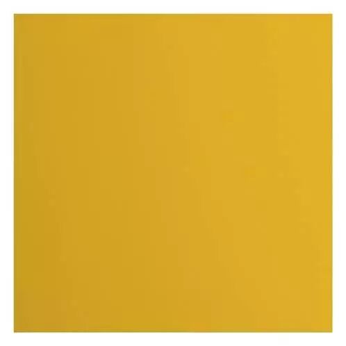 Cardstock Lisse - Bee