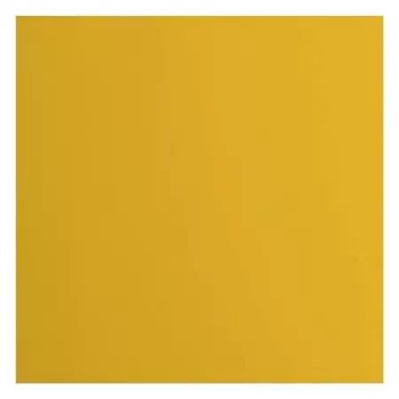 Cardstock Lisse - Bee