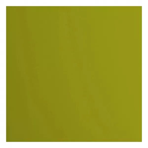 Cardstock lisse - Fern