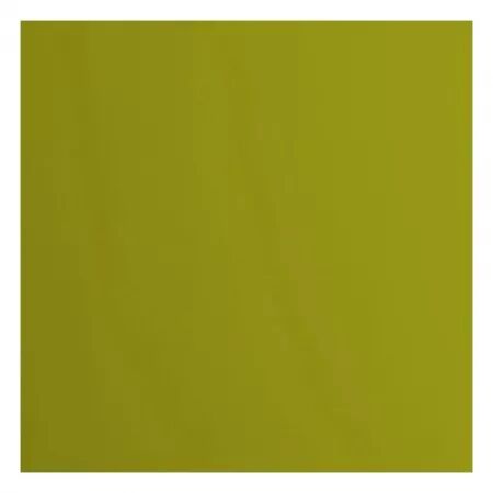 Cardstock lisse - Fern