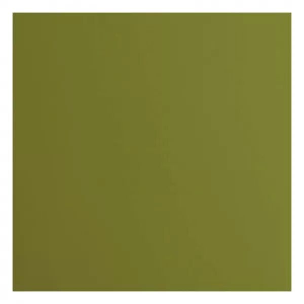 Cardstock lisse - Olive