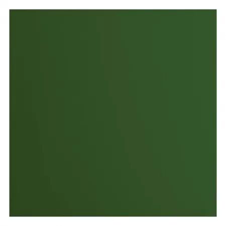 Cardstock lisse - Pine