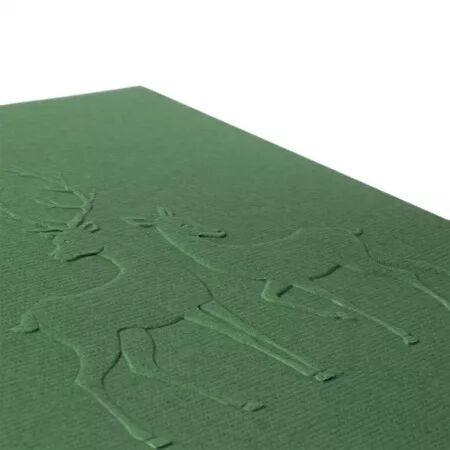 Classeur d\'embossage 3D - Rennes - Nellie\'s Choice