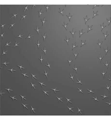 Classeur de gaufrage 3D - Birdfeet