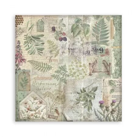 Collection papier Backgrounds - Herbarium Silvae - 20x20 - Stamperia