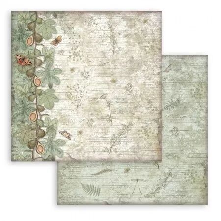 Collection papier Backgrounds - Herbarium Silvae - 20x20 - Stamperia