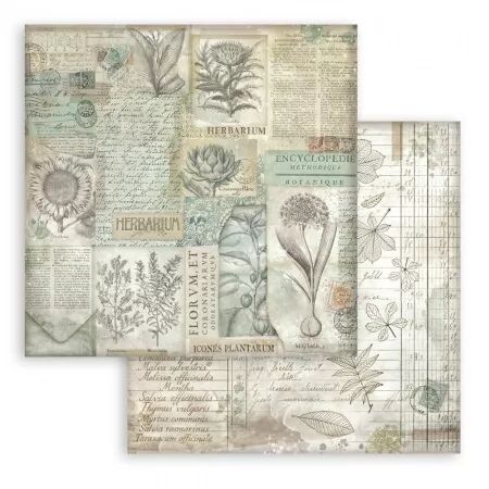 Collection papier Backgrounds - Herbarium Silvae - 20x20 - Stamperia