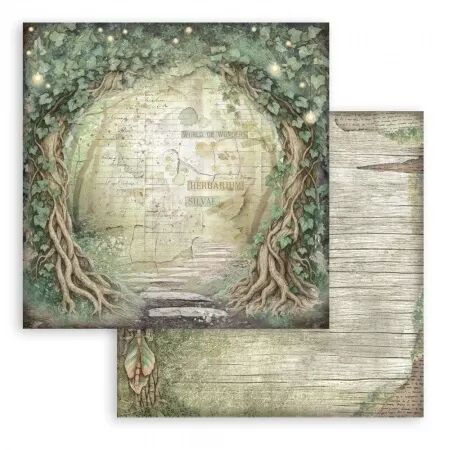 Collection papier Backgrounds - Herbarium Silvae - 20x20 - Stamperia