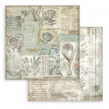 Collection papier Backgrounds - Herbarium Silvae - 20x20 - Stamperia