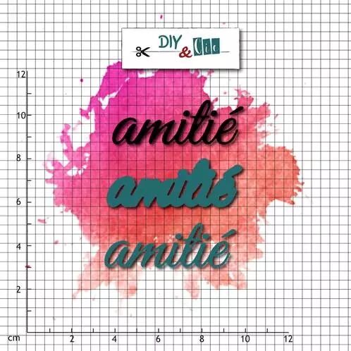 Combo Die tampon - Amiti�