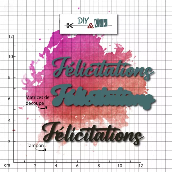 Combo die-tampon - Duo F�licitations - DIY&Cie