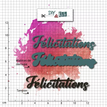 Combo die-tampon - Duo F&eacute;licitations - DIY&Cie