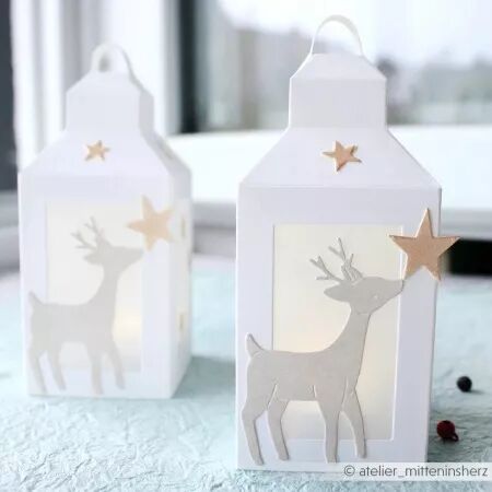 Die - Animal Star friends - Faons - Alexandra Renke