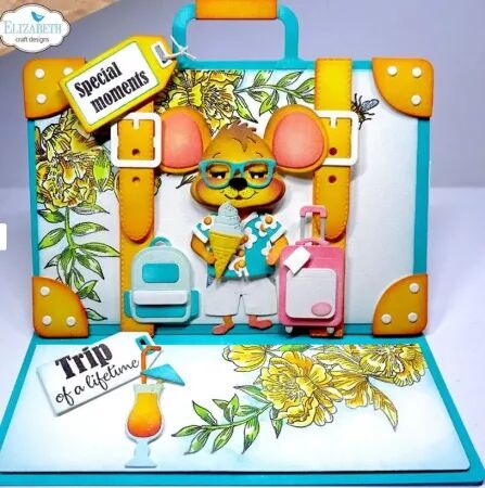 Die - Appareil photo et valise album