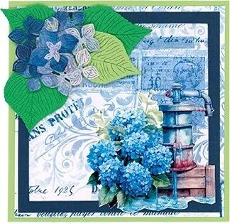 Die - Blue Meadow - Hydrangea
