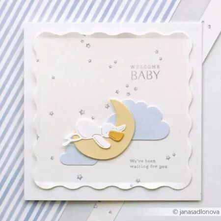 Die - Bonne nuit, canard - Alexandra Renke