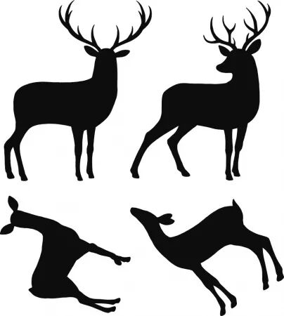 Die - Cerfs - Artemio