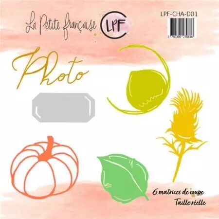 Die - Chardon et potiron