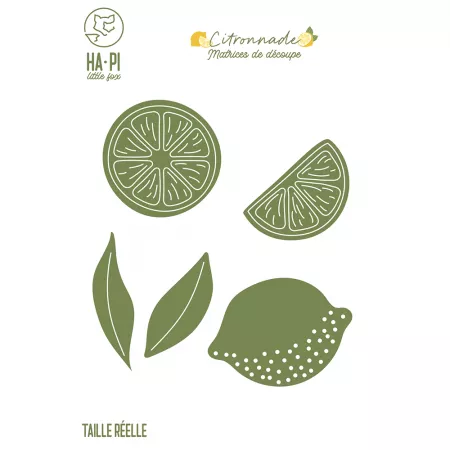 Die - Citronnade - Citrons - Ha-Pi Little Fox