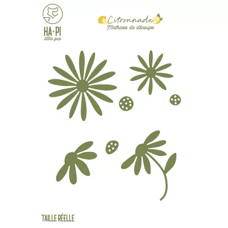 Die - Citronnade - Marguerites - Ha-Pi Little Fox