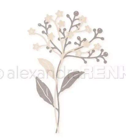 Die - Elderberry pair