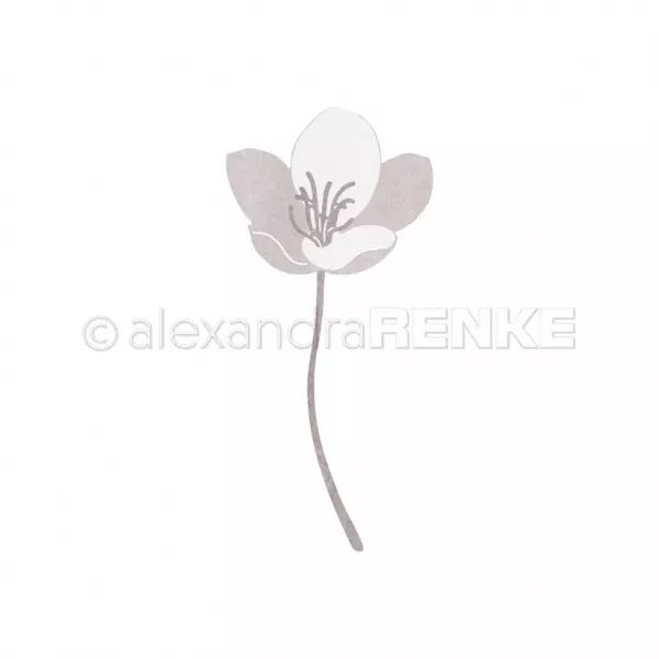 Die - Enchanting shape flower - Alexandra Renke
