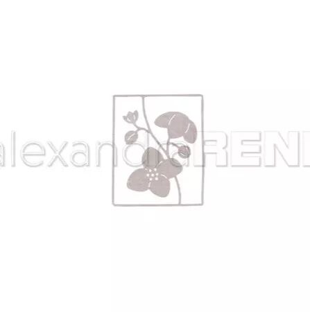 Die - Flower frame - Alexandra Renke