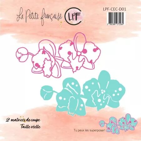 Die - Orchidée - La Petite Française