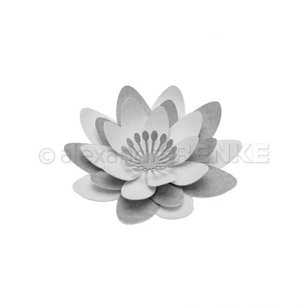 Die - Rose �toile de mer 3D