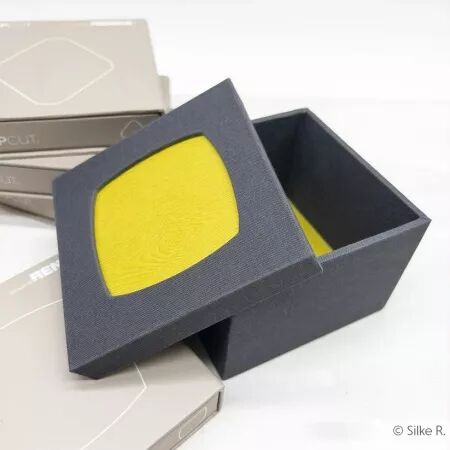 Die  PAPPCUT - Inflated square