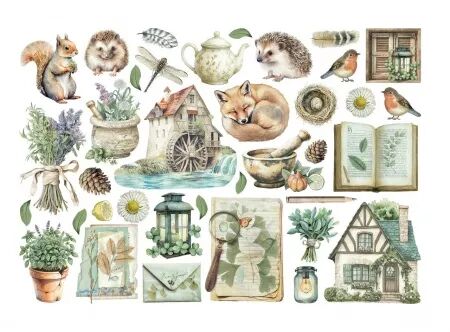 Ephemera - Herbarium Silvae     - Stamperia