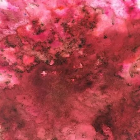 Infusions - Pigments - Frankly Scarlet