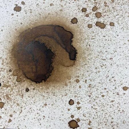 Infusions - Pigments - Just Walnut