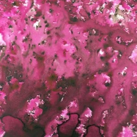Infusions - Pigments - Magenta