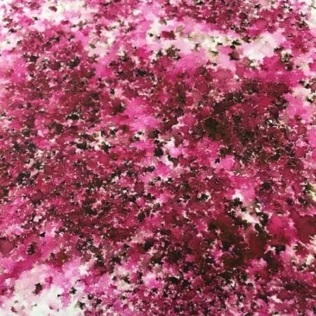 Infusions - Pigments - Magenta