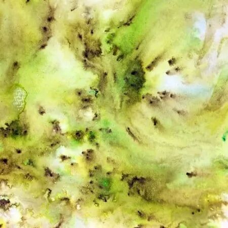 Infusions - Pigments - Slime