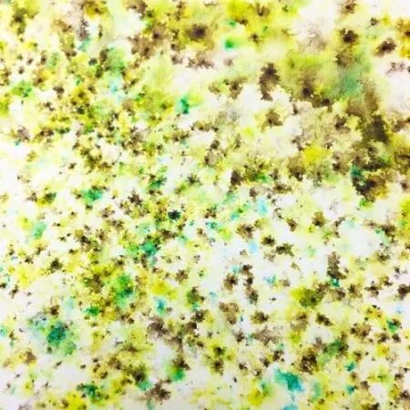 Infusions - Pigments - Slime