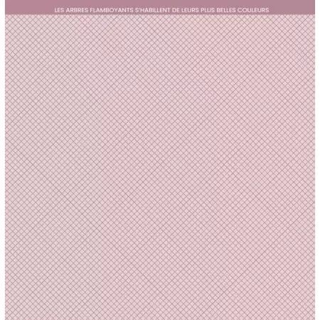 Kit - Carnet Nature - Imprimés