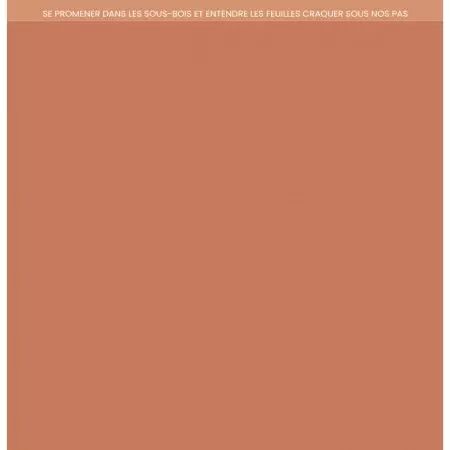 Kit - Carnet Nature - Unis