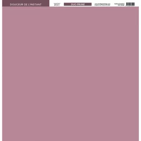 Kit - Carnet Nature - Unis