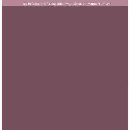 Kit - Carnet Nature - Unis