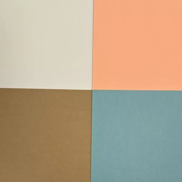 Lot de 4 papiers unis - Etoile des neige