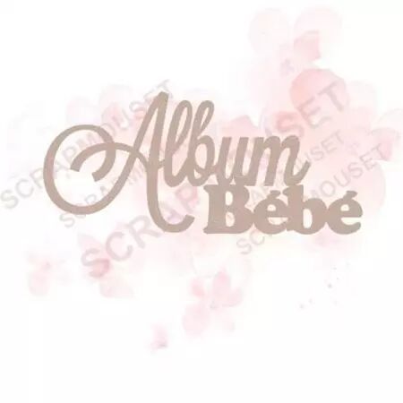 Mot en carton - Album Bébé