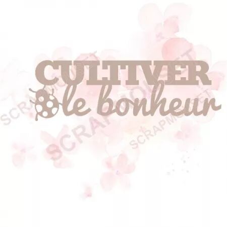 Mot en carton - Cultiver le bonheur avec coccinelle