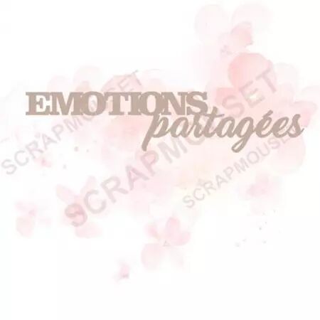 Mot en carton - Emotions partagées